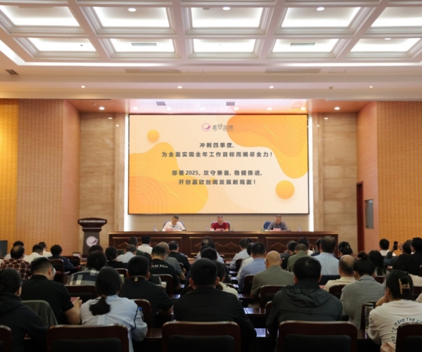 尊龙集团丝绸2024年三季度经济形势剖析会顺遂召开