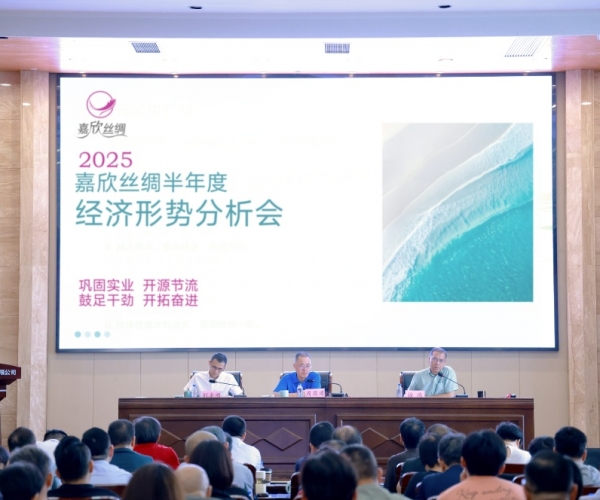 尊龙集团丝绸2025半年度经济形势剖析会顺遂召开