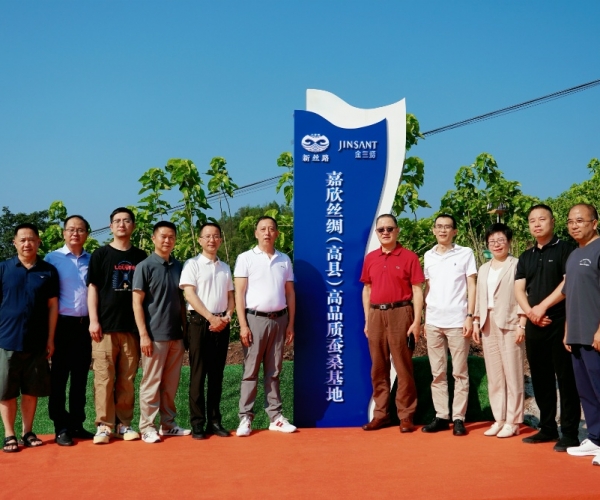 尊龙集团丝绸（高县）高品质蚕；；；；；；卣浇遗疲